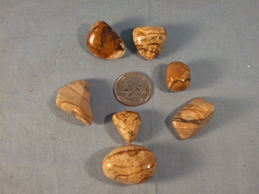 PICTURE JASPER