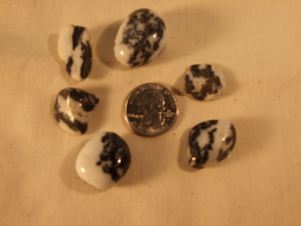 ZEBRA STONE